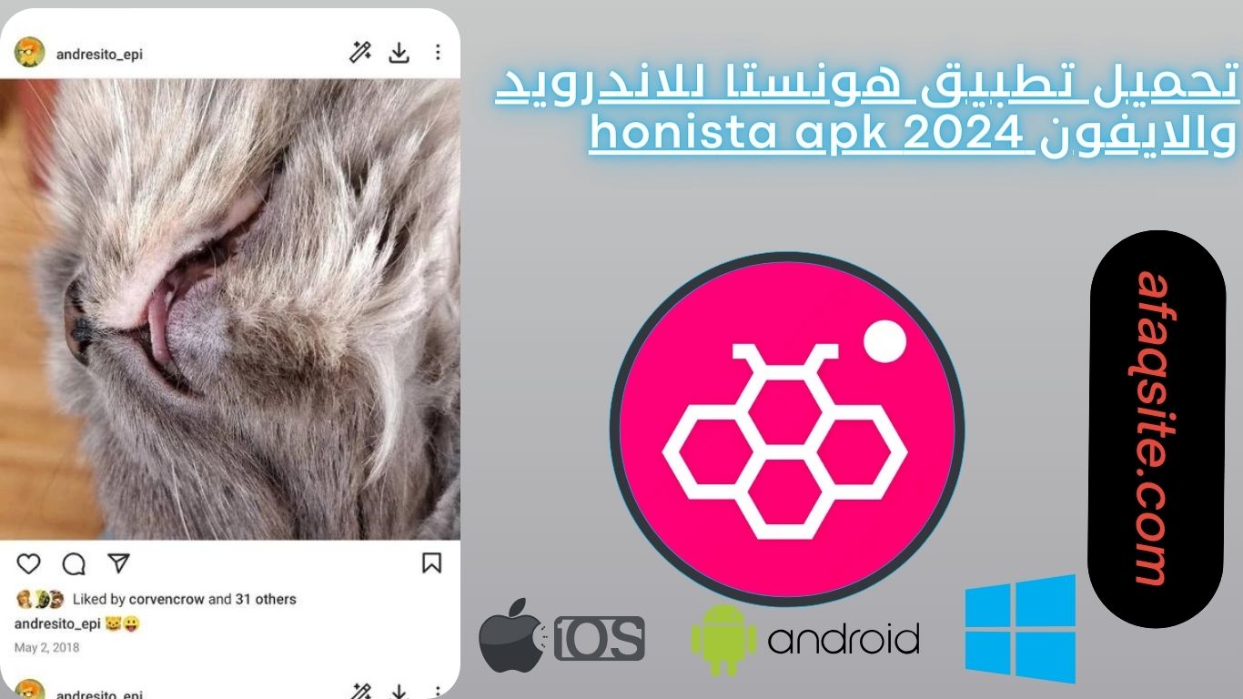 تحميل تطبيق هونستا للاندرويد والايفون 2024 honista apk